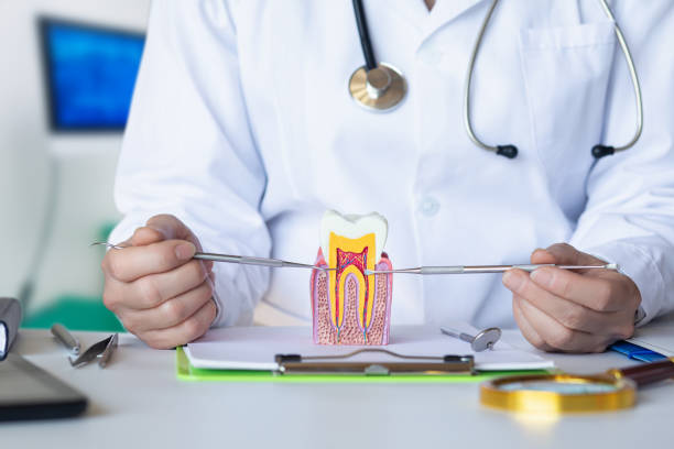 Best Emergency Dental Care for Broken or Chipped Teeth in Coldwater, OH